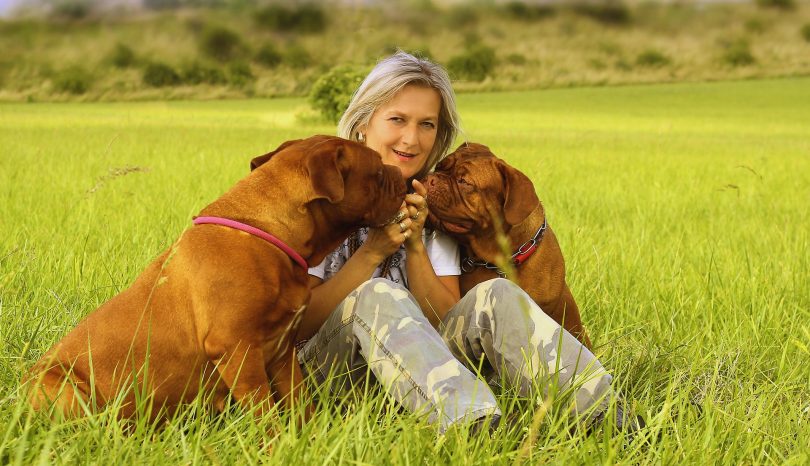 Die Dogge
